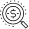 Magnifying glass dollar sign icon